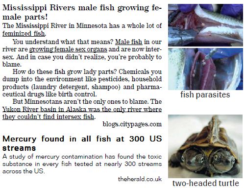 article