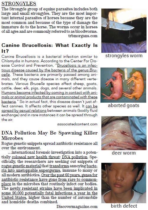 articles