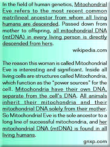 dna ads