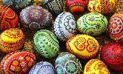eggs