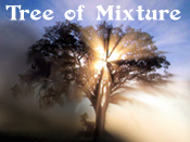 Tree mix